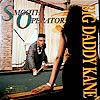BIG DADDY KANE | ���R�[�h �W���P�b�g