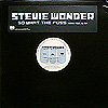 STEVIE WONDER ���R�[�h 