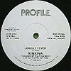 KINKINA